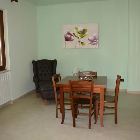 Pinus Benevento