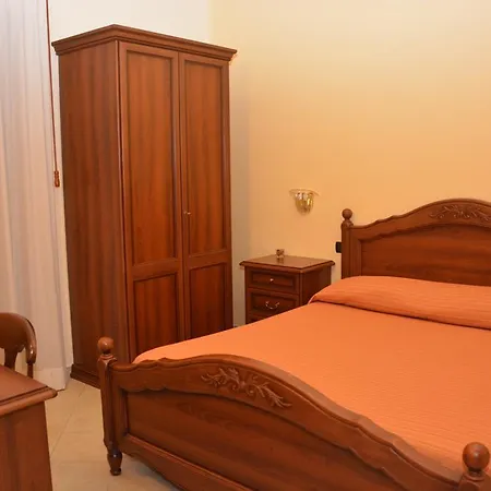 Pinus Benevento